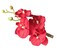 2PCS Hawaiian Orchid Flower Hair Clips Flowers Alligator Clips Hairpins Holiday Travel Wedding Decoration Hair Accessories For Women Lady Bridal (Red)