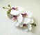 2PCS Hawaiian Orchid Flower Hair Clips Flowers Alligator Clips Hairpins Holiday Travel Wedding Decoration Hair Accessories For Women Lady Bridal (White)