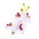 2PCS Hawaiian Orchid Flower Hair Clips Flowers Alligator Clips Hairpins Holiday Travel Wedding Decoration Hair Accessories For Women Lady Bridal (White)
