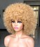 Short Afro Wig with Bangs for Black Women Afro Kinky Curly Wig 70s Premium Synthetic Big Afro Wig(Blonde)