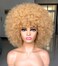 Short Afro Wig with Bangs for Black Women Afro Kinky Curly Wig 70s Premium Synthetic Big Afro Wig(Blonde)