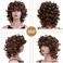 Afro Curly Wigs for Black Women Short Ombre Brown Wig Soft Big Bouncy Fluffy Curls Afro Synthetic Wigs for Daily Party Use(Ombre Brown,14Inch)