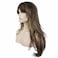 Lydell Women's Wig Long Straight Layered Wig Brown with Blonde Highlights Synthetic Full Wigs
