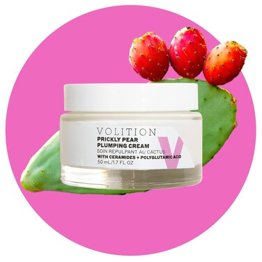 Volition Prickly Pear Plumping Cream - Age-Defies and Hydrates - Moisturizer with Ceramides and Polyglutamic Acid (50 ml / 1.7 fl oz)