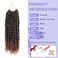 8 Packs Passion Twist Hair 10 Inch Water Wave Crochet Hair T30 Passion Twist Crochet Hair For Black Women Butterfly Style Crochet Braids Hair Extensions (Pack of 8, T30)