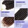 8 Packs Passion Twist Hair 10 Inch Water Wave Crochet Hair T30 Passion Twist Crochet Hair For Black Women Butterfly Style Crochet Braids Hair Extensions (Pack of 8, T30)