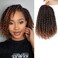 8 Packs Passion Twist Hair 10 Inch Water Wave Crochet Hair T30 Passion Twist Crochet Hair For Black Women Butterfly Style Crochet Braids Hair Extensions (Pack of 8, T30)