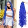 Blue Faux Soft Locs 36 Inch 2 Pack Dark Navy Royal Blue Locs Crochet Hair Whole Strand No Extended Pre-looped Long Locs Synthetic Crochet Braids Hair Extensions For Black Women (36inch, 2packs, blue)