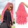 Soft Locs 24 Inch 2 Pack Pink Color Faux Locs Crochet Hair Pre-looped Locs Synthetic Crochet Braids Hair Extensions For Black Women (24inch, 2packs, Pink)
