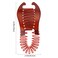 Interlocking Banana Combs Stretch Flexible Hair Combs Clips Flexible Ponytail Hair Clincher Hair Accessories for Women and Girls 2 Pcs Brown and Black