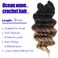 Ocean Wave Crochet Hair 9 Inch Brown Blonde Ombre Curly Braiding Ocean Wave Hair 7 Packs T1 30 27 Deep Wave Short Wavy Ocean Wave Crochet Braids Hair Extensions for Women (9Inch (Pack of 7), T1/30/27)