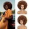 Short Afro Wigs for Black Women 70s Afro Puff Wig Large Fluffy Afro Kinky Curly Wig Synthetic Hair Bouncy and Soft Natural Looking Pink Hair Replacement Wigs for Daily Cosplay Costume (30/33)