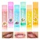 6PCS Fruit Flavoured Lip Balm,Organic Lip Balm Set with Beeswax,Hydrating Lip Moisturizer for Lip Care,Lip Balms for Dry Cracked Lips