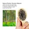 RAIN&rsquo;S SECRET Mini Hair Brushes for Women Men Kid,Pocket Size hair brush, Wet/Dry Hair Smoothing Massaging Detangling,Scalp Massage, Pocket Detangler for Outing or Travelling
