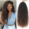 8 Packs Goddess Faux Locs Crochet Hair for Black Women, Long Goddess Locs Crochet Hair, Boho Style Locs, River Locs Crochet Hair with Curly Ends (22Inch, T30#, 8Packs)