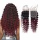 Brazilian Ombre 1B 99J Deep Wave 4x4 Lace Closure 100% Unprocessed Human Virgin Hair Burgundy Deep Curly Wine Red Colored 2 Tone 1b/99J closure Loose Deep Closure (20inch, 1b 99j deep wave closure)