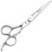 Dayline 7" Professional Salon Shears Hairdressing Scissors Haircut Human Silver Barber Scissors Japan 440c Steel Cutting Hair Scissors (7 inch)