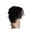 Dreadlocks Wig Premade Synthetic Cosplay Reggae Short Dreadlock Wigs African American Wigs (Black)