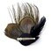 Aliotech Butterfly Peacock Feather Hair Clip with Artificial Pearl Rhinestones, 13.2*8cm - Bridal, Wedding &amp; Party Hair Accessory