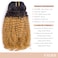 Caliee Afro Kinky Curly Clip in Hair Extension Human Hair Double Weft Unprocessed Remy Natural Black Hair and Ombre Brown Blonde Clip ins Hair,20 Inch