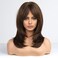 Alanhair Brown Wigs for Women,HAIRCUBE Long Layered Wigs with Bangs Heat Resistant Synthetic Fibre Wigs