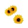 3PCS Yellow Hawaii Style Sunflower Hairpins Alligator Clips Hair Accessories for Party Beach Vacation Women Lady (3.9 inch)
