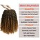 Passion Twist Hair 6 Packs Water Wave Synthetic Crochet Braids for Passion Twist Braiding Hair Bohemian Curl Hair Extensions (6PCS Passion Twist Hair 8 Inch, T1B/27)