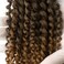 Passion Twist Hair 6 Packs Water Wave Synthetic Crochet Braids for Passion Twist Braiding Hair Bohemian Curl Hair Extensions (6PCS Passion Twist Hair 8 Inch, T1B/27)