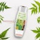 Patanjali Kesh Kanti Natural Hair Cleanser - 200ml / 6.8 fl oz - (Pack of 2)
