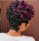 Divine Hair Short Afro Kinky Curly Synthetic Wig Short Afro Curly Wigs Short Black Burgundy Curly Hair Wigs For Black Women Synthetic Short Wigs For Women African American Women Wigs (Black Burgundy)