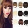 Clip in Bangs Synthetic Fiber one Piece in Natural Straight Clip in Hair Bangs with Temple for Women (#613 Bleach Blonde)