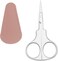 Professional Grooming Scissors for Personal Care Facial Hair Removal and Ear Nose Eyebrow Trimming Stainless Steel Straight Tip Scissors 3.7 Inch
