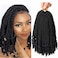 6 Packs Crochet Box Braids Curly Ends 10 Inch Crochet Braids Bohemian Box Braids Crochet Hair for Black Women (1B, 10 Inch)