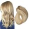 Clip In Human Hair Extensions 20pcs Seamless Silky Straight Weft Remy Virgin Hair(Piano Ombre Color #18-613 16inches)