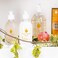 Provence Sante Shower Gel - Cleansing &amp; Deep Nourishing Body Wash Hydrating for Dry, Rough Sensitive Skin Cleanses &amp; Moisturizes 10.2 Oz (Apricot)