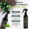 Rice Water Organic Hair Growth Spray - Leave In Conditioner Infused with Peppermint Oil &amp; Essential Oil for Hair Growth, Reduces Hair Fall, Dandruff &amp; Promotes Thicker Hair - 250ml
