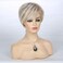Short Layered Blonde Wigs for Women Synthetic Heat Resistant Cosplay Pixie Wig with Wig Cap