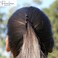 Parcelona French Small 3 &frac34;&rdquo; Celluloid Set of 2 French Banana Hair Clip Flexible Ponytail Holder Fashion Durable Styling Paris Hair Accessories for Women, Made in France (Tortoise Shell-Black)