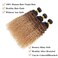 12A Ombre Bundles Human Hair (T1B/30/27,16" 16" 16") Ombre Curly 3 Bundles Human Hair 100% Unprocessed Virgin Brazilian Ombre Kinky Curly Human Hair Weave Bundles
