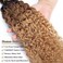12A Ombre Bundles Human Hair (T1B/30/27,16" 16" 16") Ombre Curly 3 Bundles Human Hair 100% Unprocessed Virgin Brazilian Ombre Kinky Curly Human Hair Weave Bundles