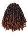 Passion Twist Hair-Pre-twisted Passion Twists,Pre-Looped Crochet Braids Made Of Bohemian Hair Synthetic Braiding Hair Extensions (8 Inch(Pack of 8), T30)