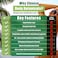 Professional Sunless Tanning Spray Tan Solution, Organic Essential Oils, Airbrush Formula, 33.8 Fl Oz. (Level 2 (10% DHA))
