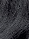 Zury Sis Pre-Tweezed Synthetic Wig Diva-H SISTA (1B)