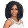 Royal Zury Crochet Braids V8.9.10 Wanda Curl (1Pack Enough) (1)