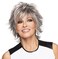 Raquel Welch Collection TREND SETTER R56/60 Wig
