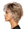 Raquel Welch Voltage Short Layered, No-Fuss Wig by Hairuwear, Large Cap, SS10/22 Iced Cappuccino