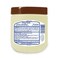 Lucky Super Soft Cocoa Butter Petroleum Jelly, 6 Ounce