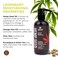 Hemp Seed Hand Wash, Eucalyptus &amp; Tea Scent - 8 fl oz - Cleans &amp; Moisturizes Skin - With Hemp Seed Oil, Aloe Vera &amp; Orange Peel Oil - Vegan, Cruelty Free