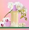 Saltair Body Oil. Luxurious Island Orchid After Shower and Bath Oil Moisturizer for Women. Botanical, Non-Greasy, and Well-Absorbing Lotion for Hydrating Dry Skin. 4oz Glass Pump Bottle