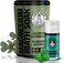 Coach Soak Recovery Bath Soak Eucalyptus Tea Tree and Magnesium Lotion with MSM Cooling Menthol Bundle